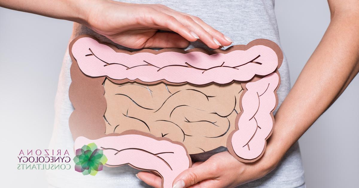 The Vital Link Between Fertility and Gut Health
